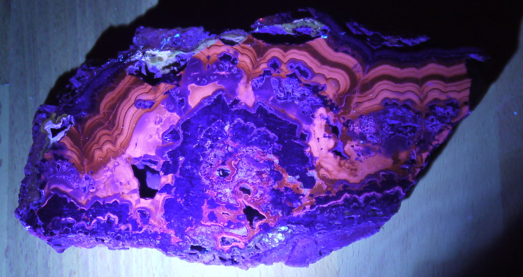 Schalenblende unter UVA